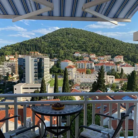 Apartment Sandra Free Private Parking Dubrovnik Extérieur photo